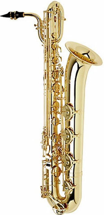 good saxophone on rent gurgaon