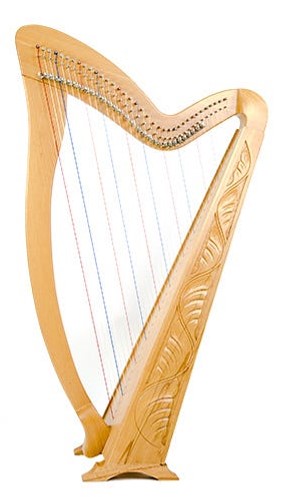 best harp on rent gurgaon